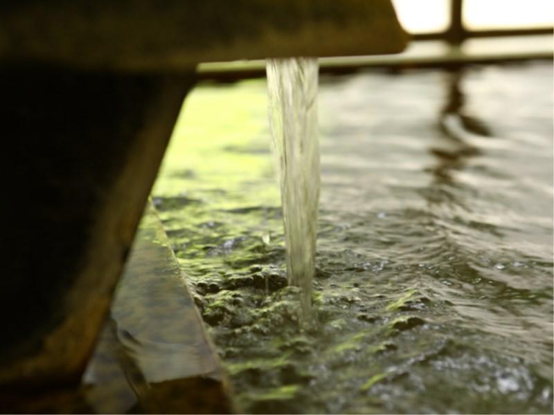 Besshoonsen Nanjyo Ryokan Ueda Buitenkant foto