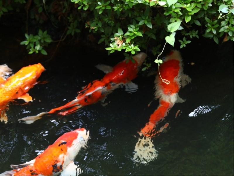Besshoonsen Nanjyo Ryokan Ueda Buitenkant foto